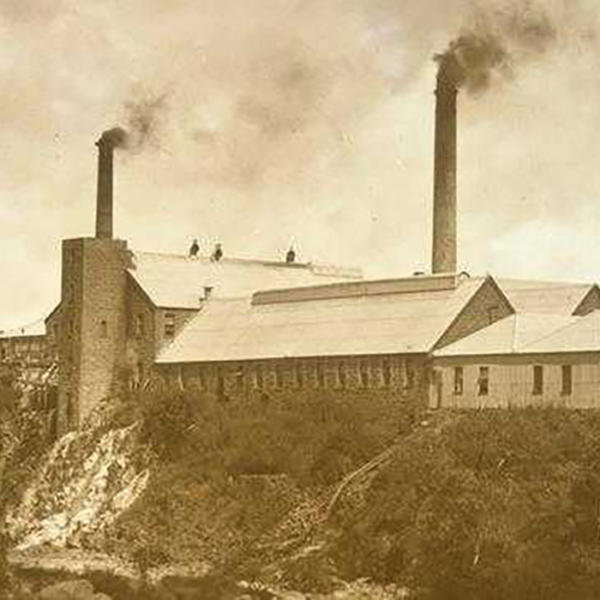 fyansford paper mill tours